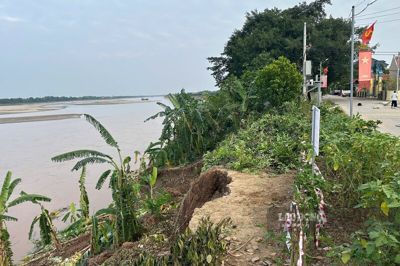 Doan sat lo tai xa Tam Nong. Anh: To Cong.