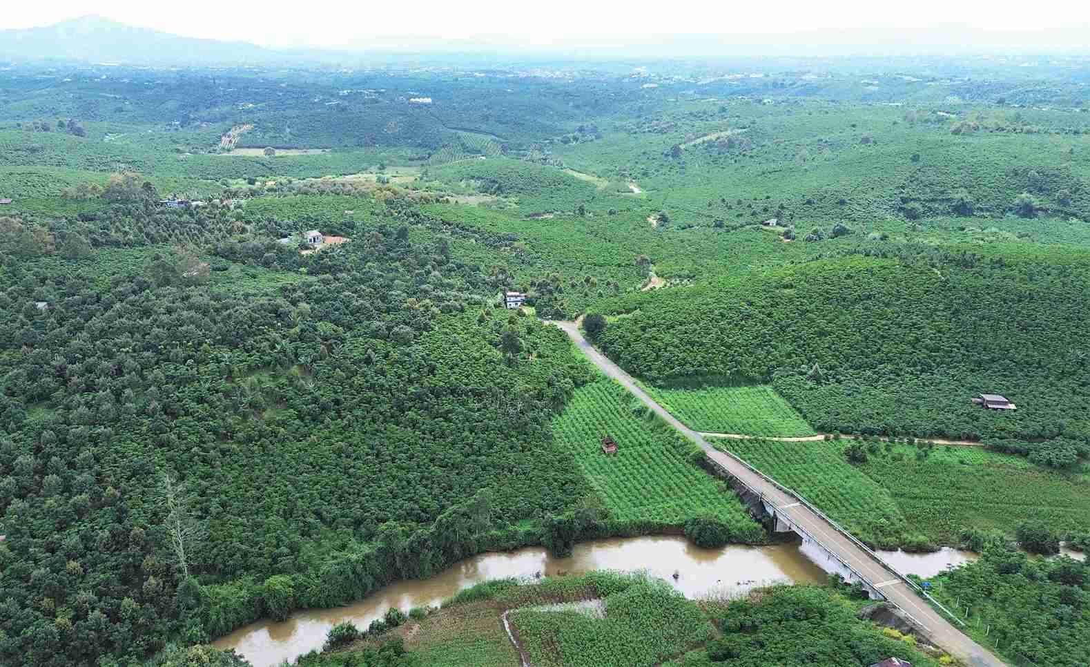 The land acquisition of Hung Hau Company in Lam Dong to serve the Bao Loc - Lien Khuong expressway project. Photo: Phuc Khanh