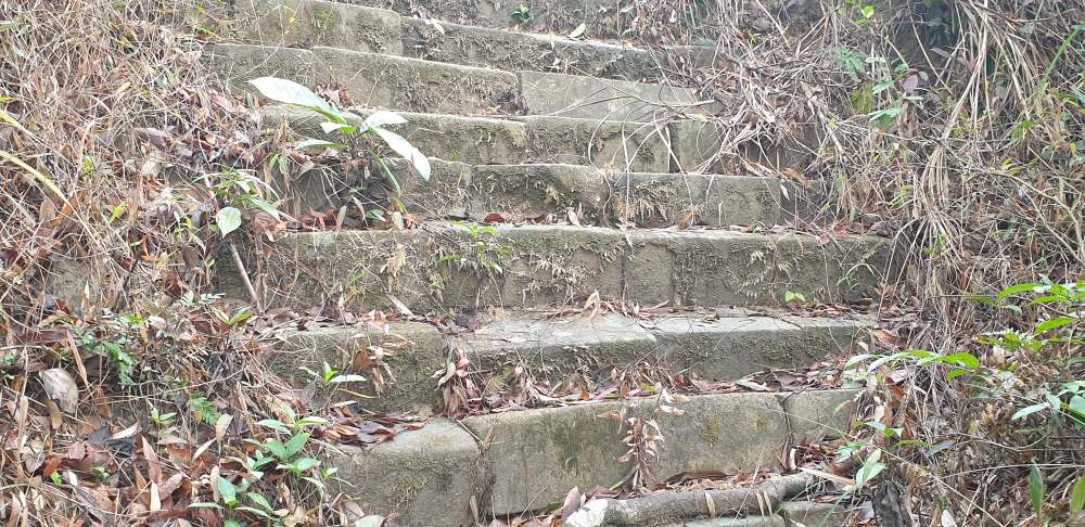 Yen Tu의 Am Duoc으로 가는 고대 돌계단. 사진: Nguyen Hung