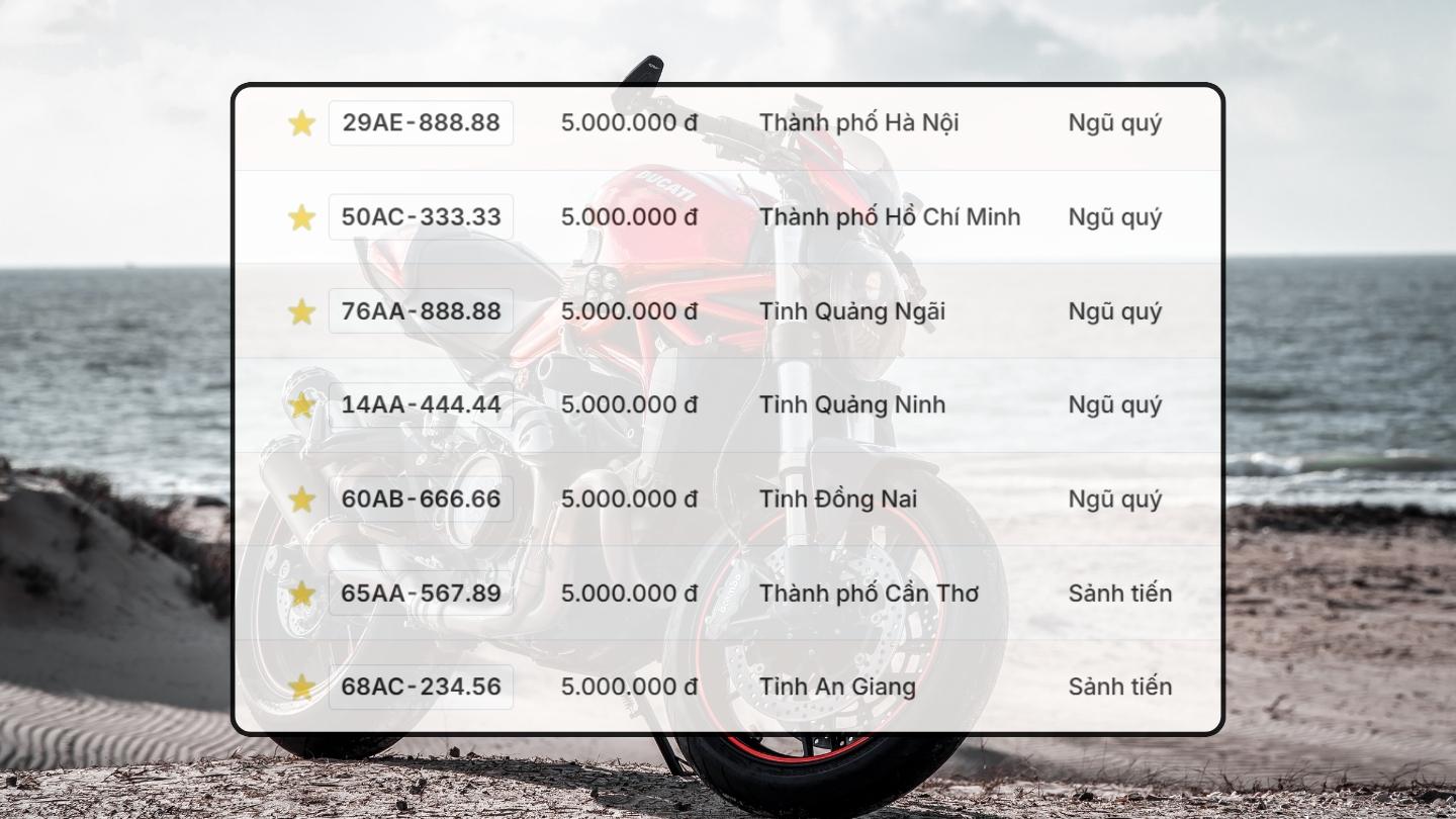 Bien so xe may co trong phien dau gia ngay 14.11. Do hoa: Hao Thien