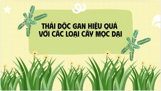 Effective liver detox with wild plants