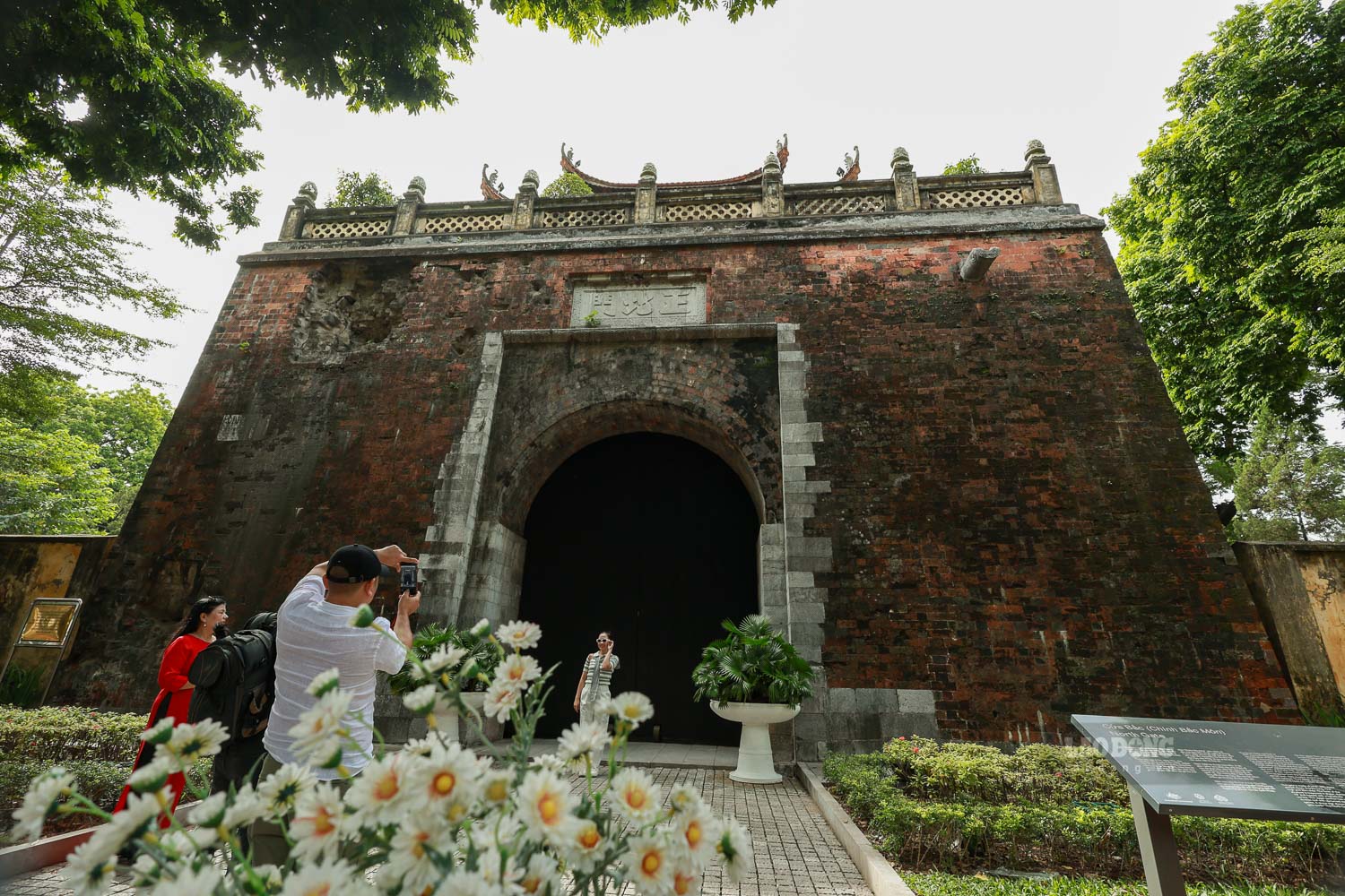 Todas as manhãs de fim de semana, a Rua Phan Dinh Phung parece mais movimentada que o normal, e as antigas árvores de dracontomelão em ambos os lados da rua são como velhas amigas de Hanói, acolhendo silenciosamente conhecidos e desconhecidos que se reúnem sob a fresca sombra verde. Vêm aqui para registrar um momento do outono – o outono da terra e do céu, e talvez também o seu próprio outono.