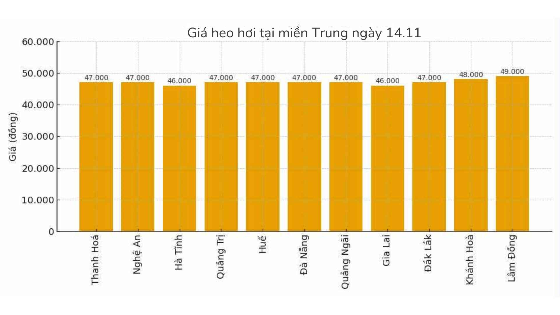 Gia heo hoi hom nay 14.11 tai khu vuc mien Trung - Tay Nguyen. Do hoa: Thuy Linh