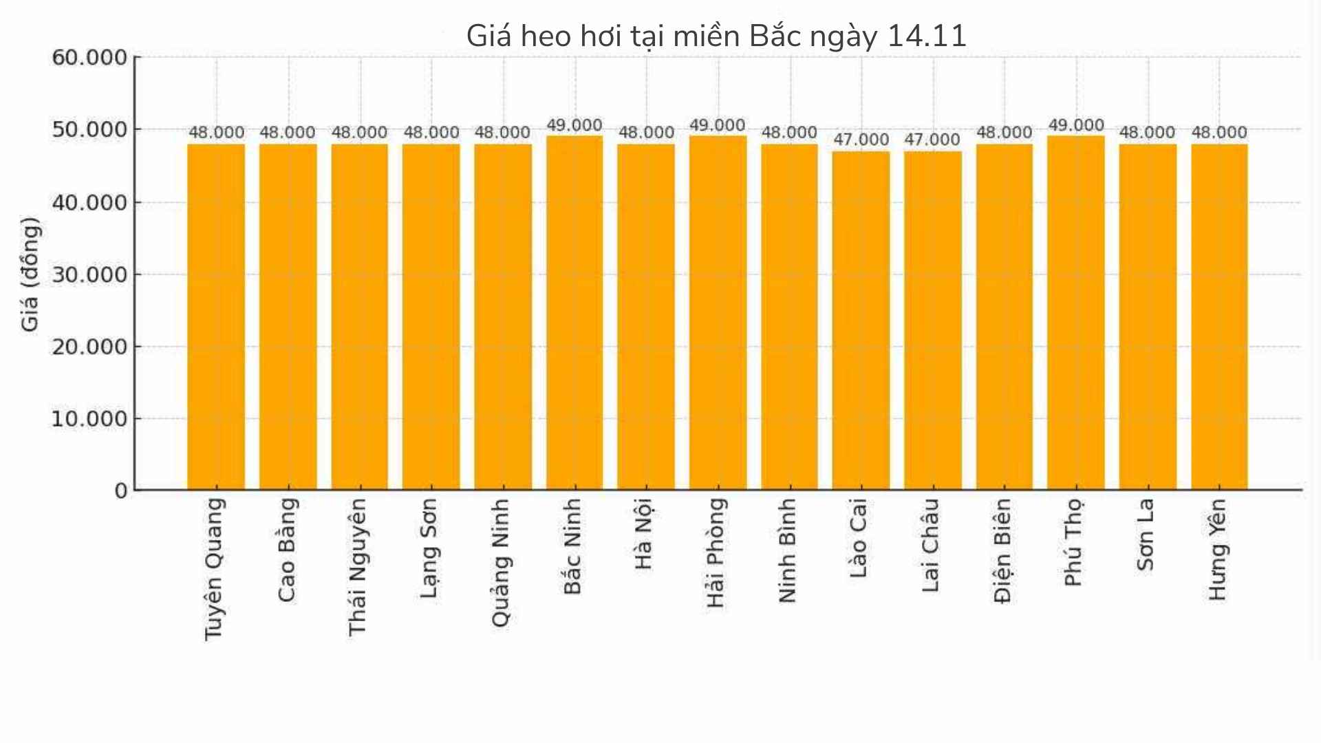 Gia heo hoi hom nay 14.11 tai khu vuc mien Bac. Do hoa: Thuy Linh