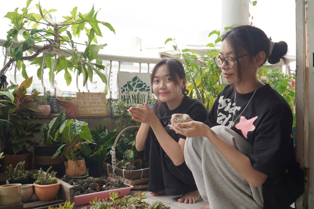 ゴミが再生されると、ホーチミン市の中心部に緑の芽が生えます。写真: タイ・バオ