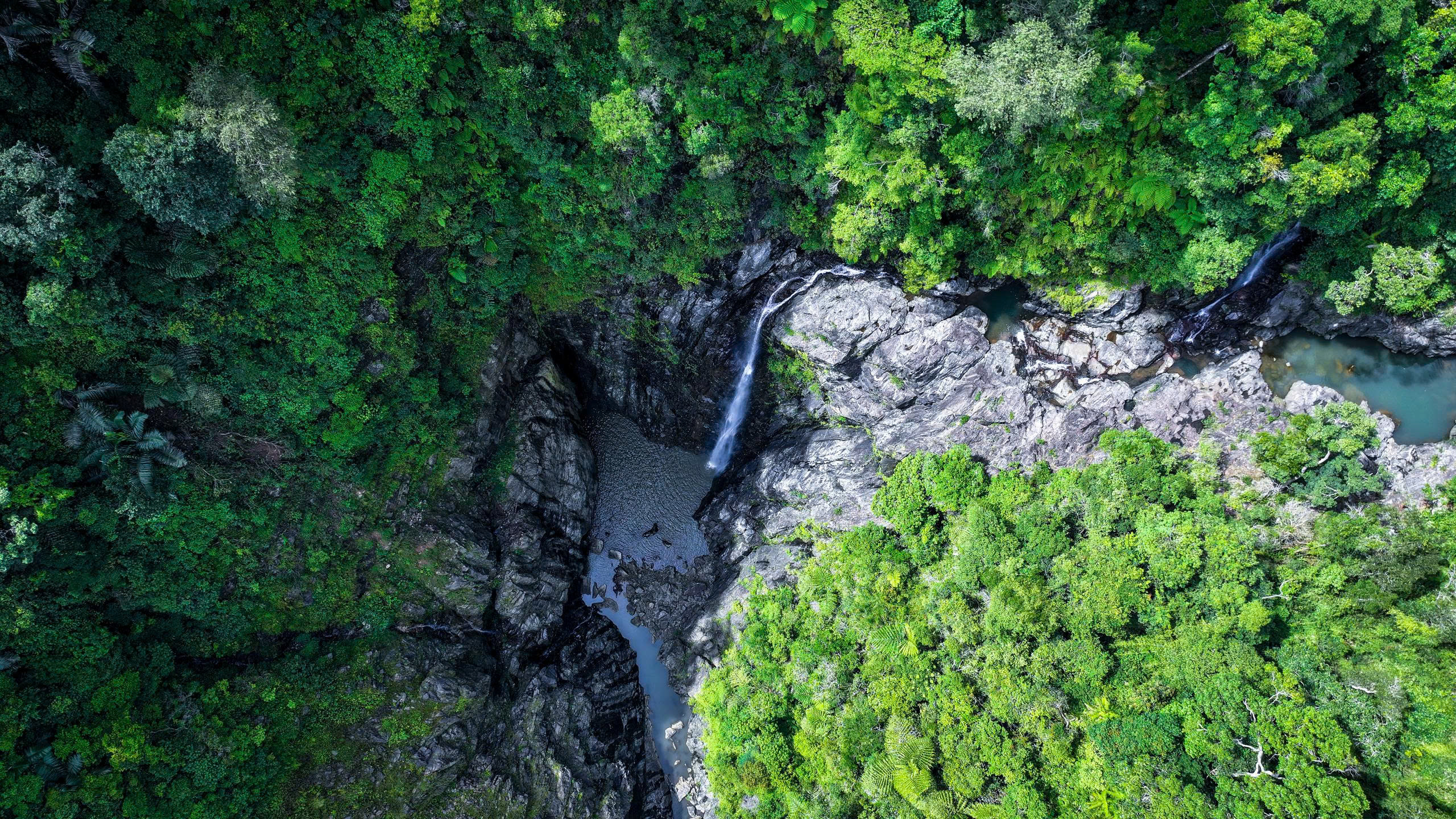 Tham thuc vat phong phu, phu xanh xung quanh dong thac manh.