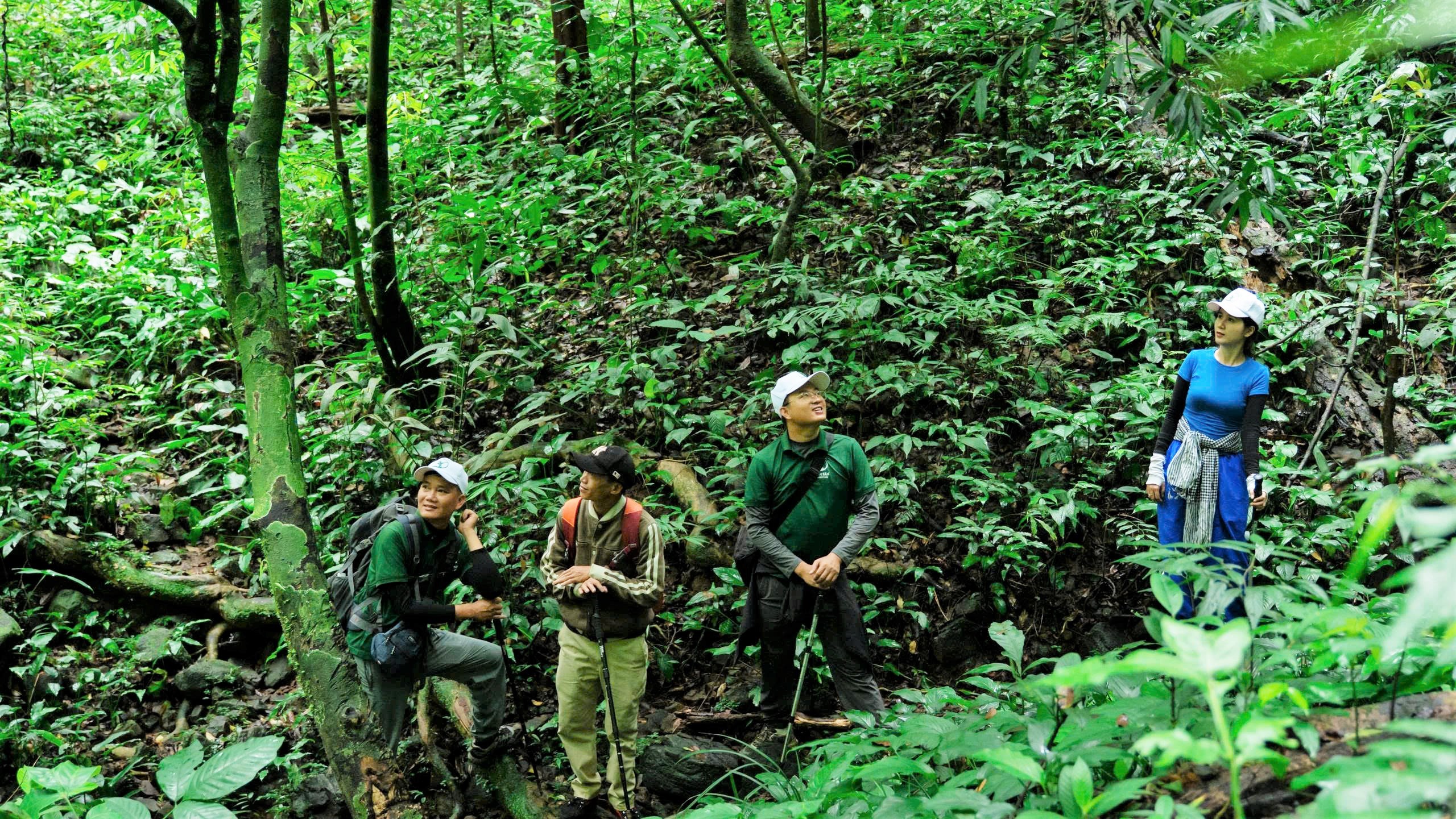 Thac Hung Ngan van la mot an so moi me doi voi du khach me trekking khi moi chi co vai tour dia phuong khai thac cung duong den thac. Du khach muon kham pha noi nay can co huong dan vien va chuan bi ky ve the luc, dung cu chuyen cho cac chuyen trekking nhu giay, mu non, gay, quan ao dai...