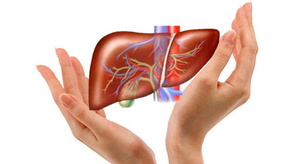 You should get vaccinated, do not use alcohol and tobacco, maintain a reasonable weight, and have regular health check-ups to prevent liver cancer. Photo: Thao Nhung