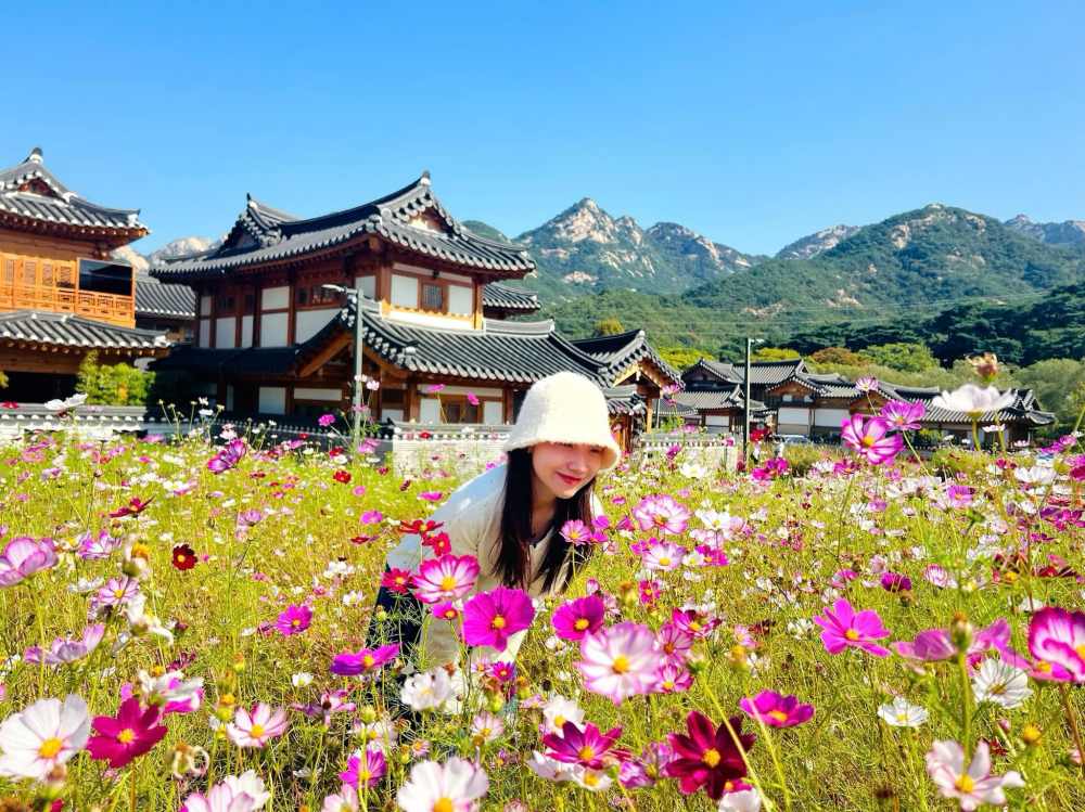 Chien dich hop tac quang ba du lich Han Quoc giua Vietravel va Tong Cuc Du lich Han Quoc tai Viet Nam (KTO). Anh: Vietravel