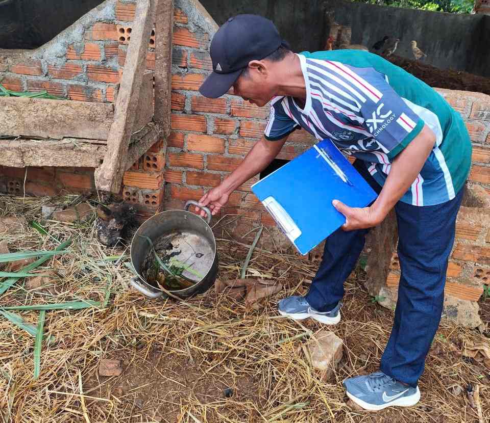 So ca nhiem sot xuat huyet tren dia ban nam 2025 da giam so voi cung ky 2024. Anh: Bao Lam