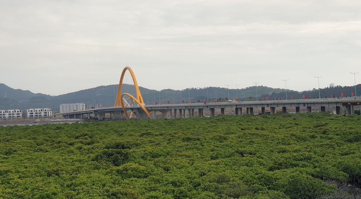 Cau Binh Minh bac qua vinh Cua Luc, ket noi phuong Cao Xanh voi xa Thong Nhat, tinh Quang Ninh. Anh: Nguyen Hung