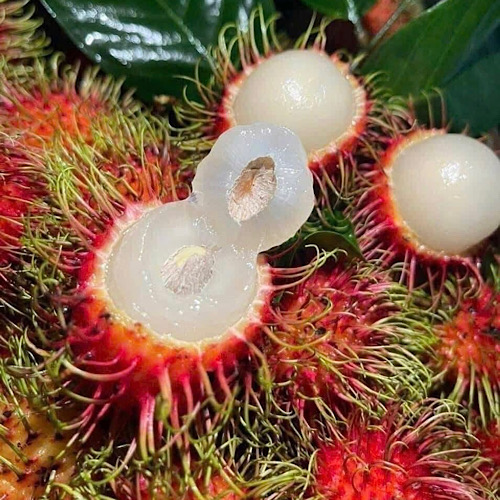 Shrimp paste is rich in vitamin C, but some people should limit their intake. Photo: Quang Minh.