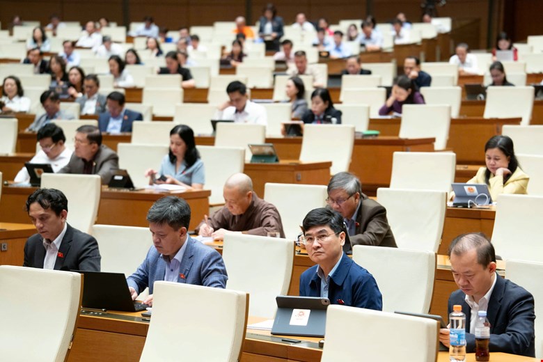 Cac dai bieu tham du phien hop. Anh: Media Quoc hoi