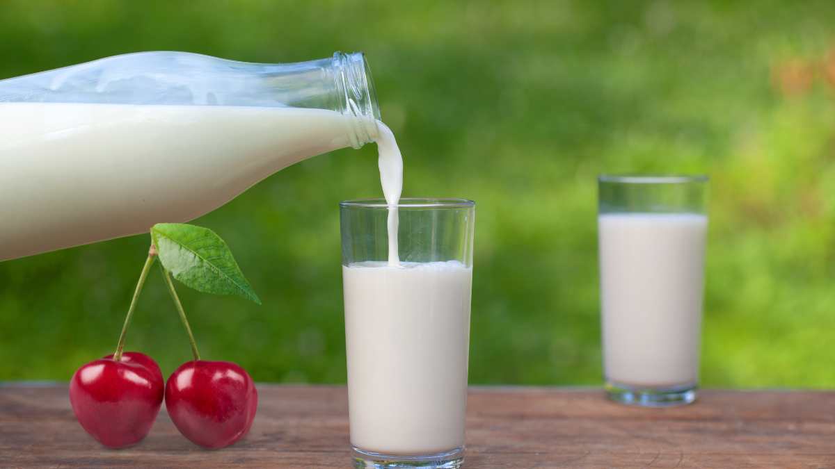 Bua nho voi sua tach beo va anh dao ho tro giam axit uric, tot cho nguoi nguy co gut. Anh: Canva