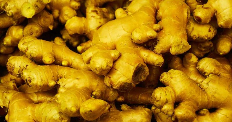 Ginger Curing Process What does ginger root cure? 10 uses and ways to use ginger in the cold ...