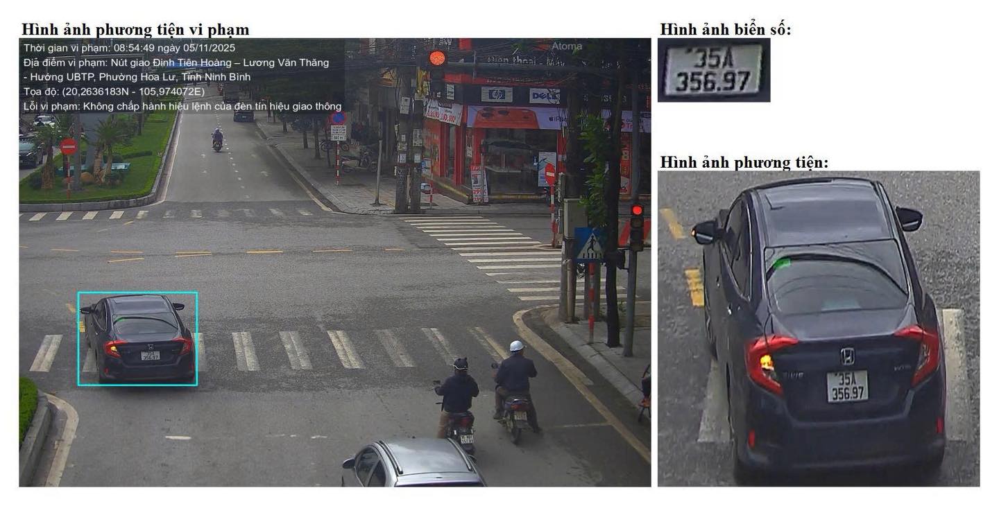 The owner was fined in Ninh Binh. Photo: Ninh Binh Police