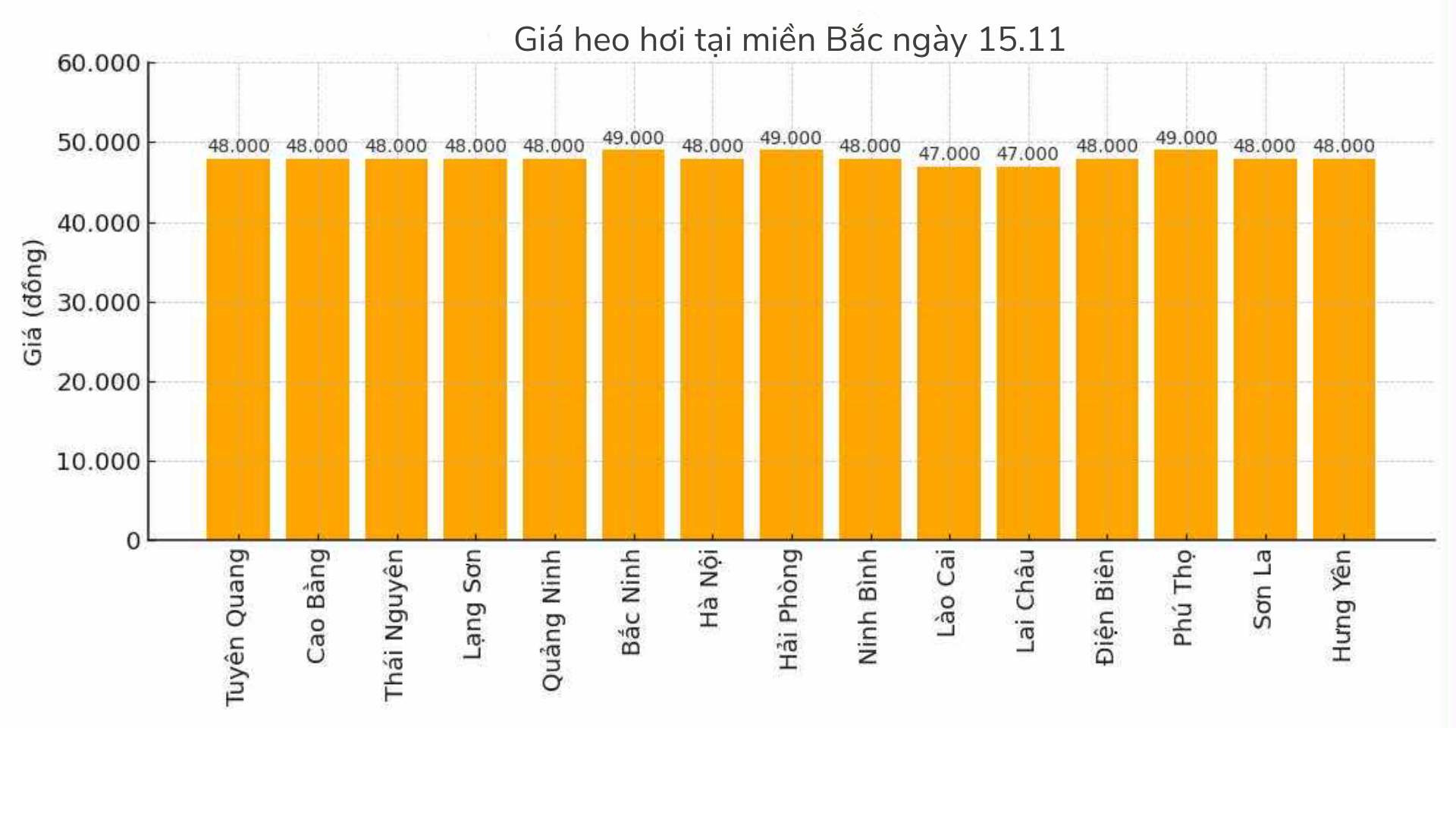 Gia heo hoi hom nay 15.11 tai khu vuc mien Bac. Do hoa: Thuy Linh
