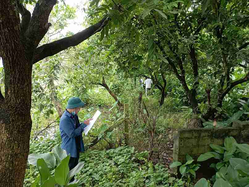 Can bo phuong Hong Chau kiem tra ho so, ra soat nguon goc cac thua dat phuc vu cong tac GPMB. Anh: Phuong Hong Chau