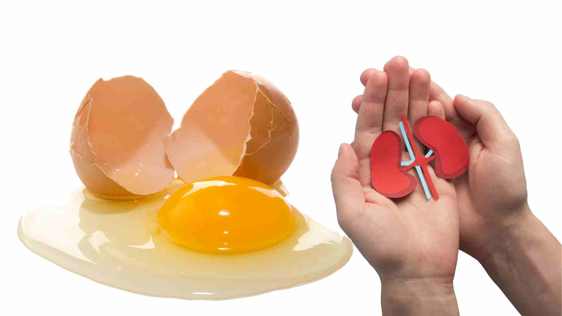 Adding egg whites is good for the kidneys. Graphics: Ha May