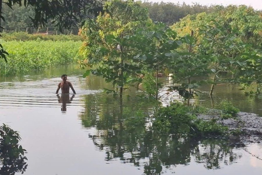 ホーチャムコミューンの一部の地域では、非常に大雨と洪水放流が重なって洪水が発生したところです。写真: ミン・タム
