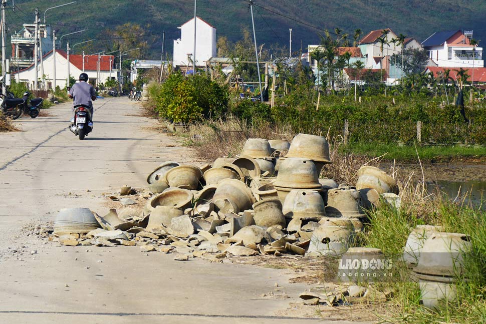 Chau mai do be sau bao.