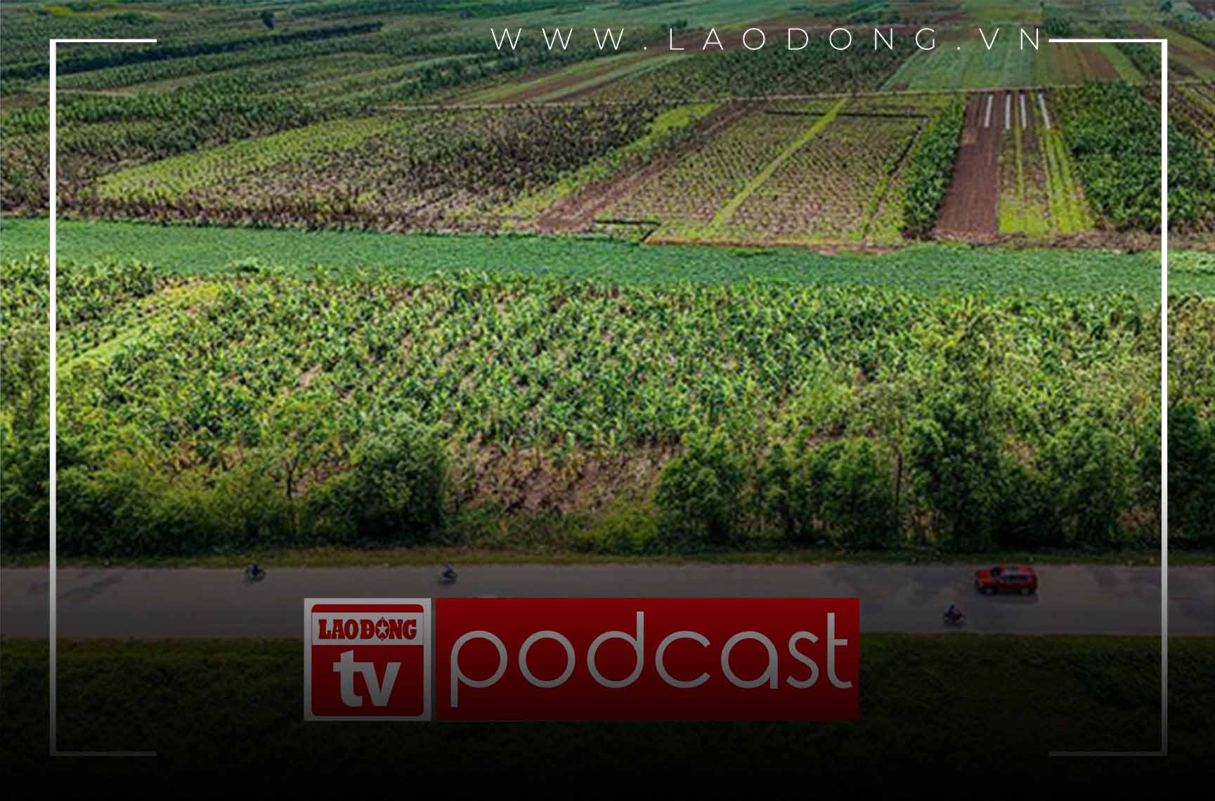 Morning news 16.11: Hung Yen speeds up site clearance along the Red River