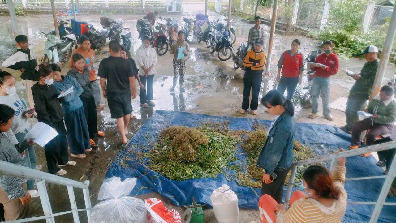 People in Buon Don commune, Dak Lak province are instructed and trained in animal husbandry. Photo: Bao Lam