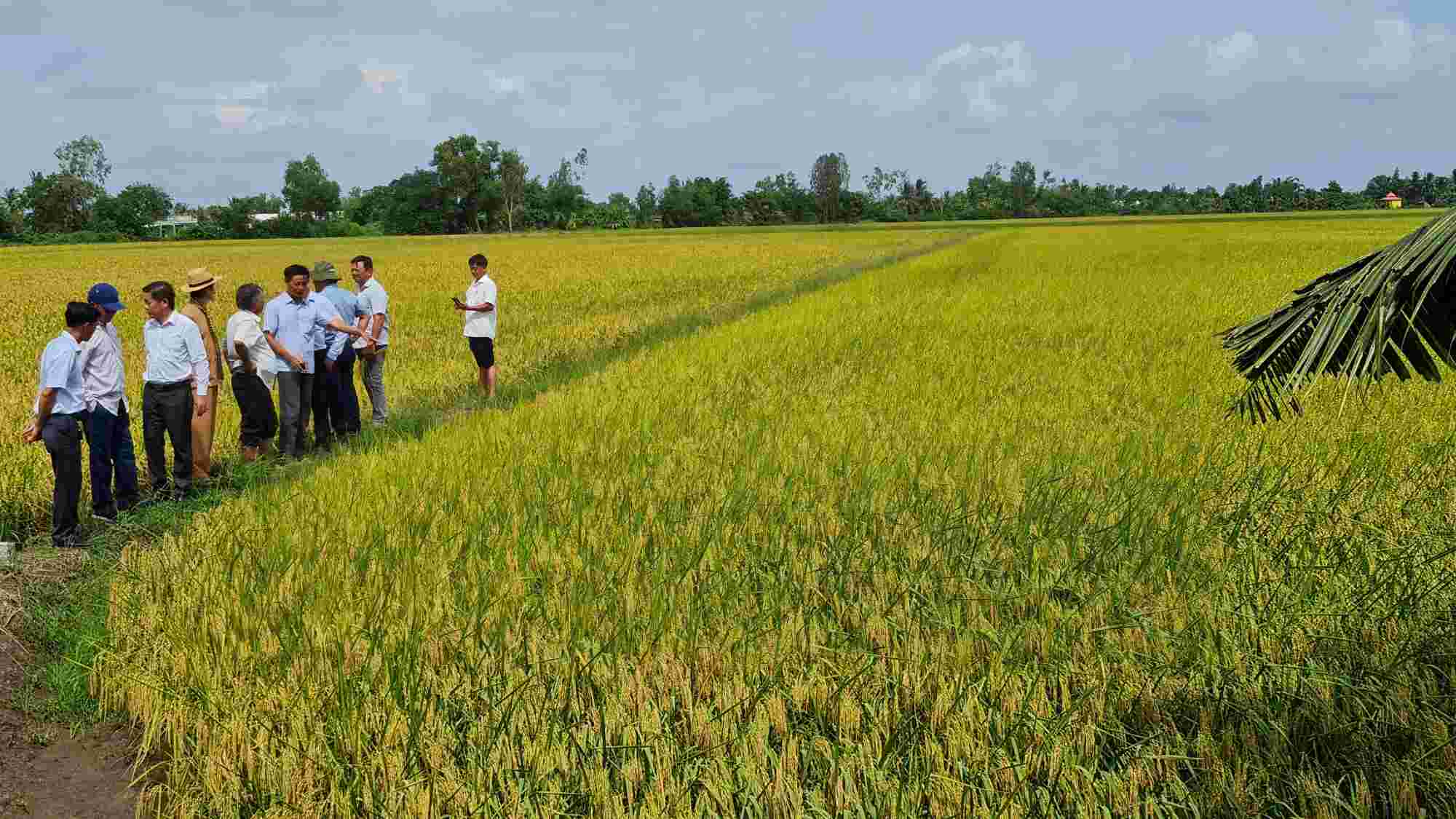 Doan ket cung xay dung nong thon moi tai phuong Lang Tron, tinh Ca Mau. Anh: Nhat Ho