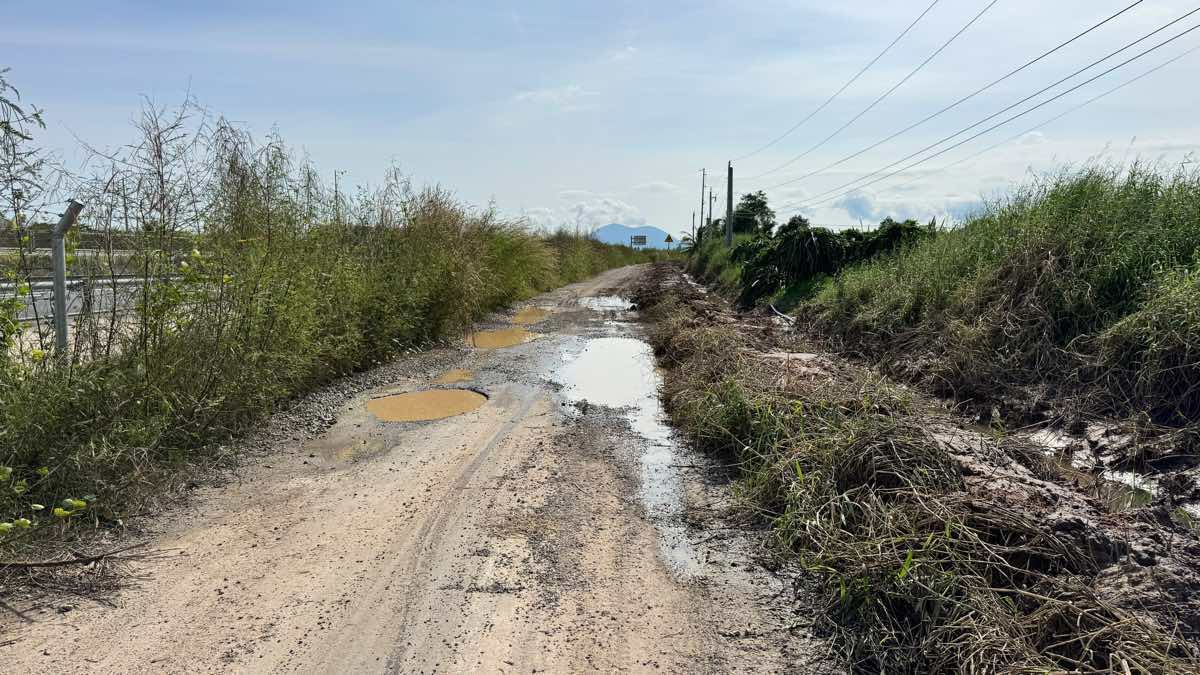 Phat quang cay co, khoi thong dong chay cua muong nuoc ven cao toc Vinh Hao - Phan Thiet. Anh: Duy Tuan