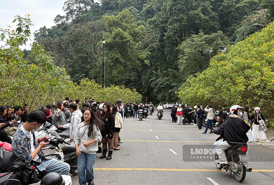 Khach xep hang dai doc duong ngam hoa da quy. Anh: Duc Hoang