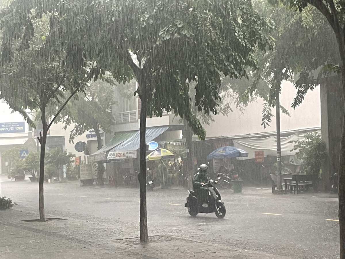 On November 16, Khanh Hoa province will have prolonged heavy rain, with a high risk of landslides. Photo: Phuong Linh
