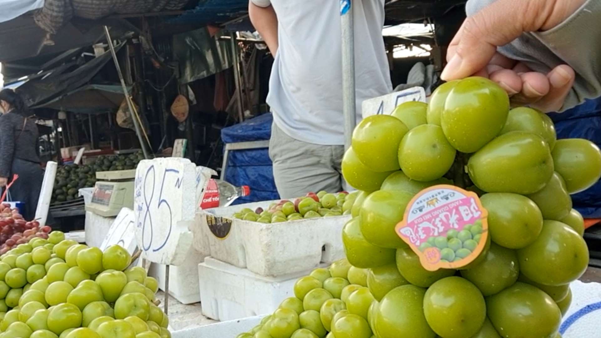 외국 글자가 있는 스티커와 라벨이 판매되는 과일에 즉시 부착됩니다. 사진: Hanh Thom
