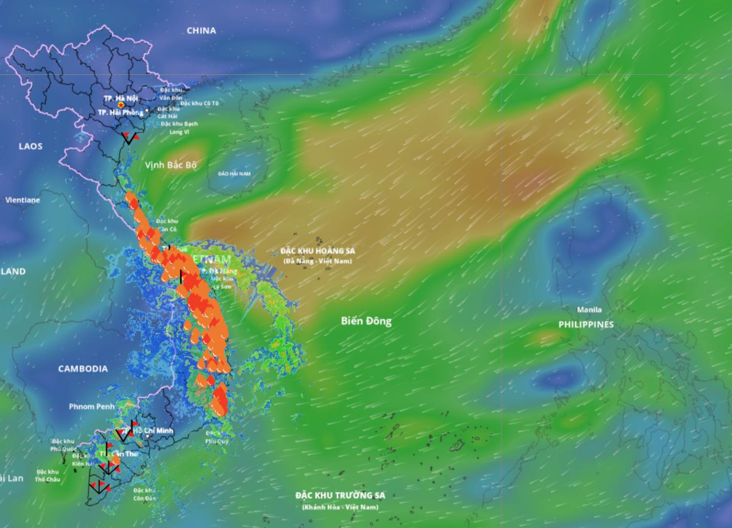 強い寒気の影響により、東海の多くの沿岸地域で雷雨や強風が発生しています。上は11月16日午後に更新された海上の風力発電所の画像。出典：ベトナム自然災害監視システム