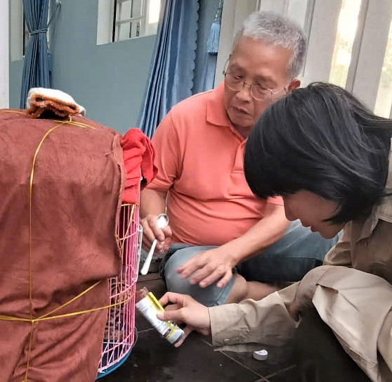 Doi ngu chuyen gia Vuon Quoc gia Cat Tien so cuu cho ca the meo bao gam dang bi thuong. Anh: Phuc Khanh