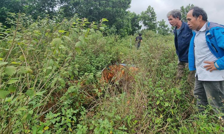 People are upset when the joint venture stops purchasing Seaweed for export and owes them money for 3 years without paying. Photo: Han Nguyen
