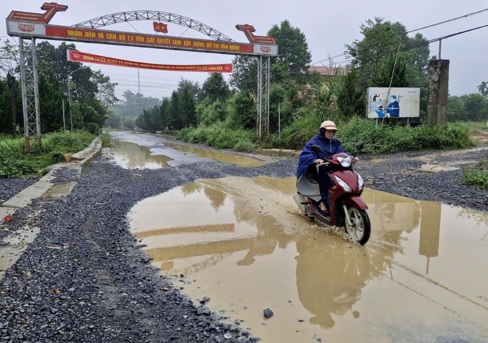Day ray cac o voi, o trau, vung nuoc xuat hien tren tuyen duong. Anh: Quach Du