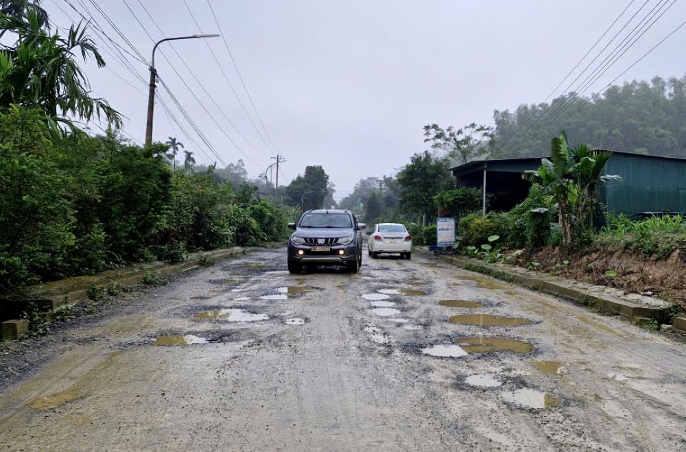 Chi chit cac o ga tren mat duong. Anh: Quach Du