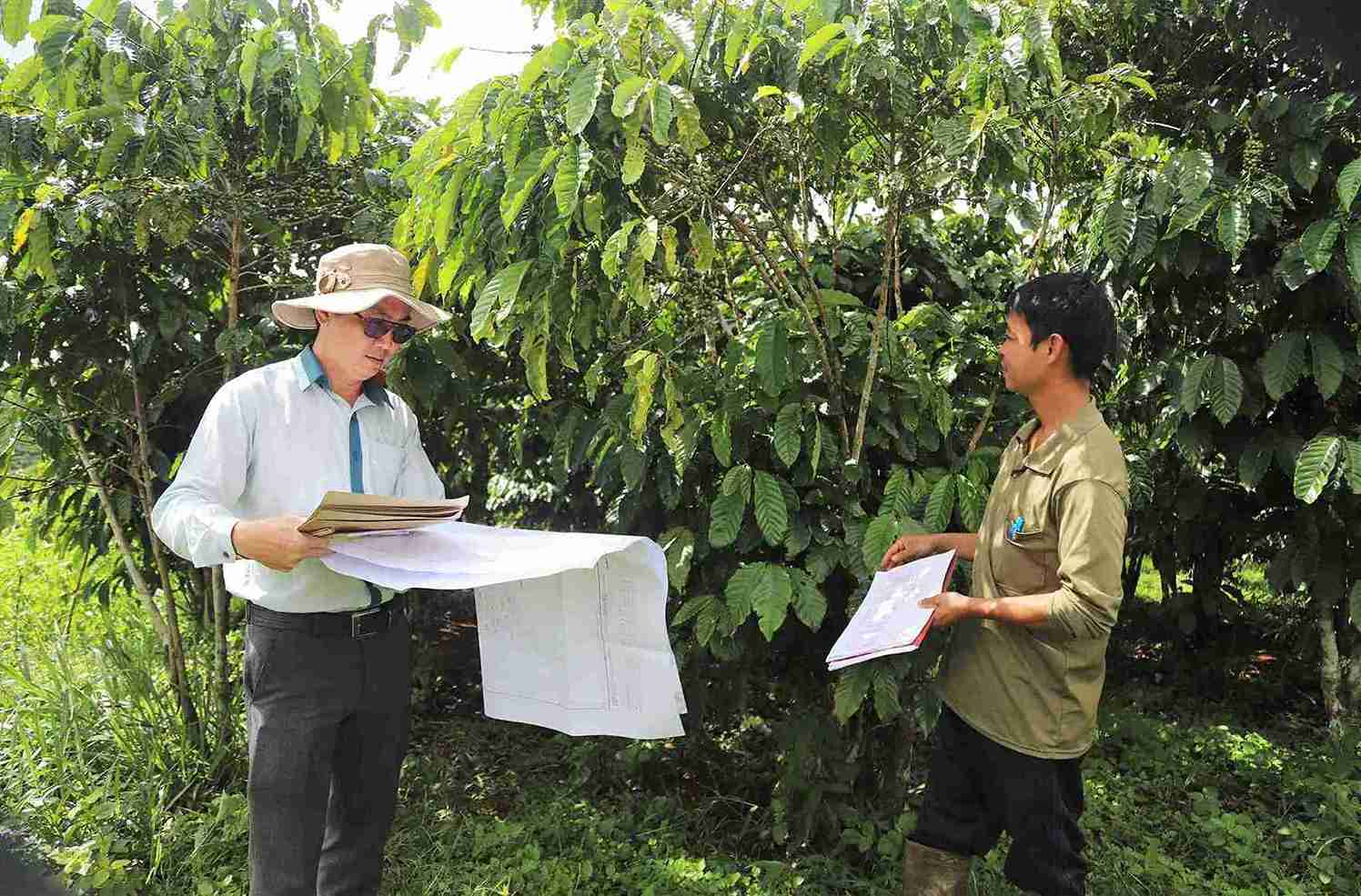 Cong tac kiem dem dat, cay trong va cac tai san gan lien tren dat dang duoc cac dia phuong gap rut hoan tat. Anh: Phuc Khanh