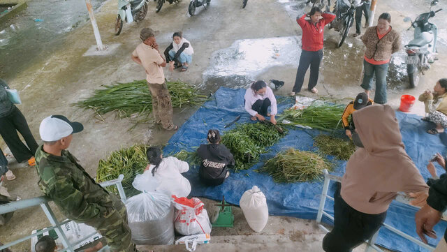 Cac hoc vien thuc hanh ky nang cham soc trau, bo. Anh: Bao Lam