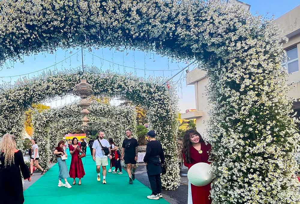 Con đường hoa cúc họa mi tấp nập khách check in ở Hà Nội.