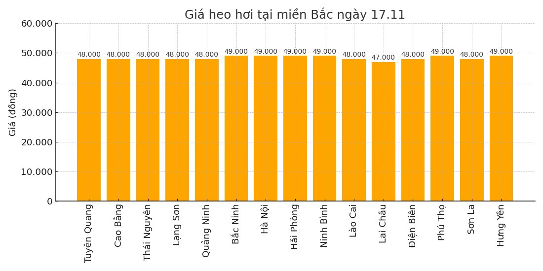 Gia heo hoi hom nay 17.11 tai khu vuc mien Bac. Do hoa: Thuy Linh.