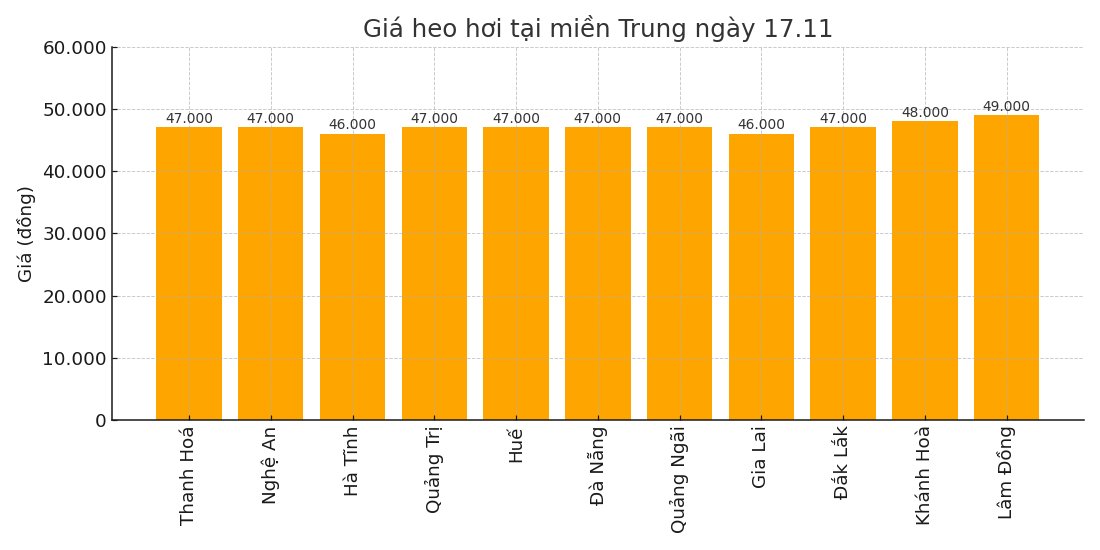 Gia heo hoi hom nay 17.11 tai khu vuc mien Trung. Do hoa: Thuy Linh.