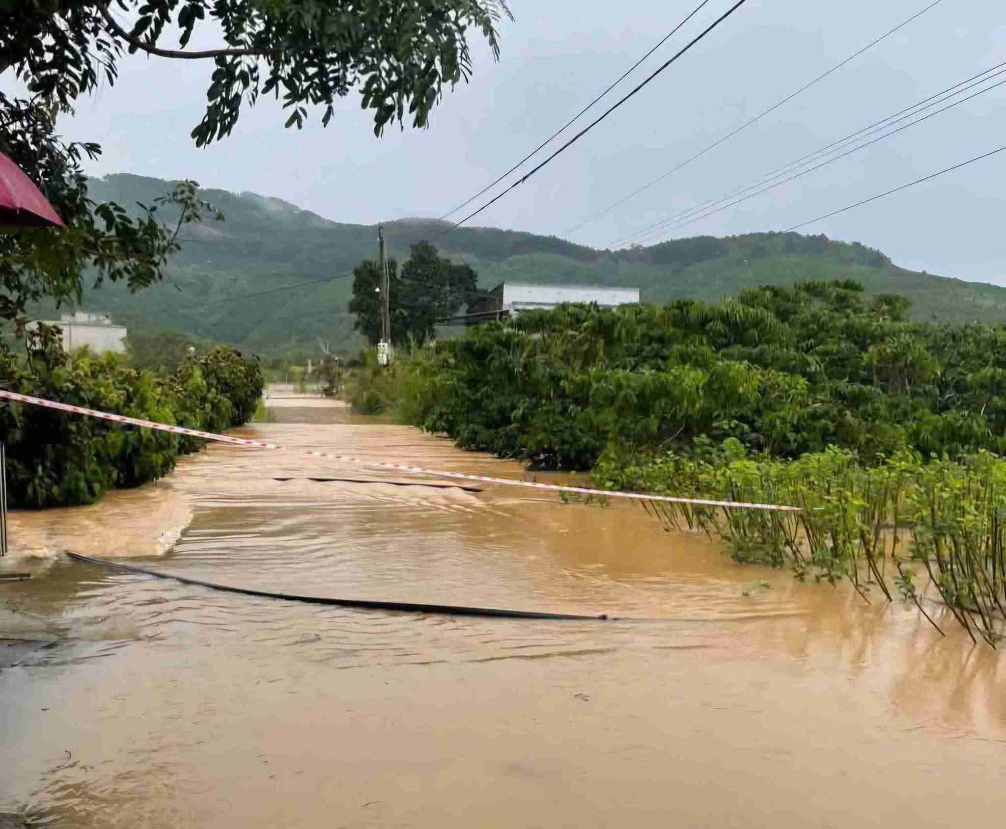 Mot tuyen duong tren dia ban xa Dinh Van Lam Ha dang ngap sau. Anh: Co quan chuc nang cung cap