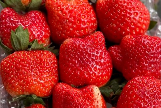 Outstanding health and immune benefits of strawberries. Graphics: Thien Nhan