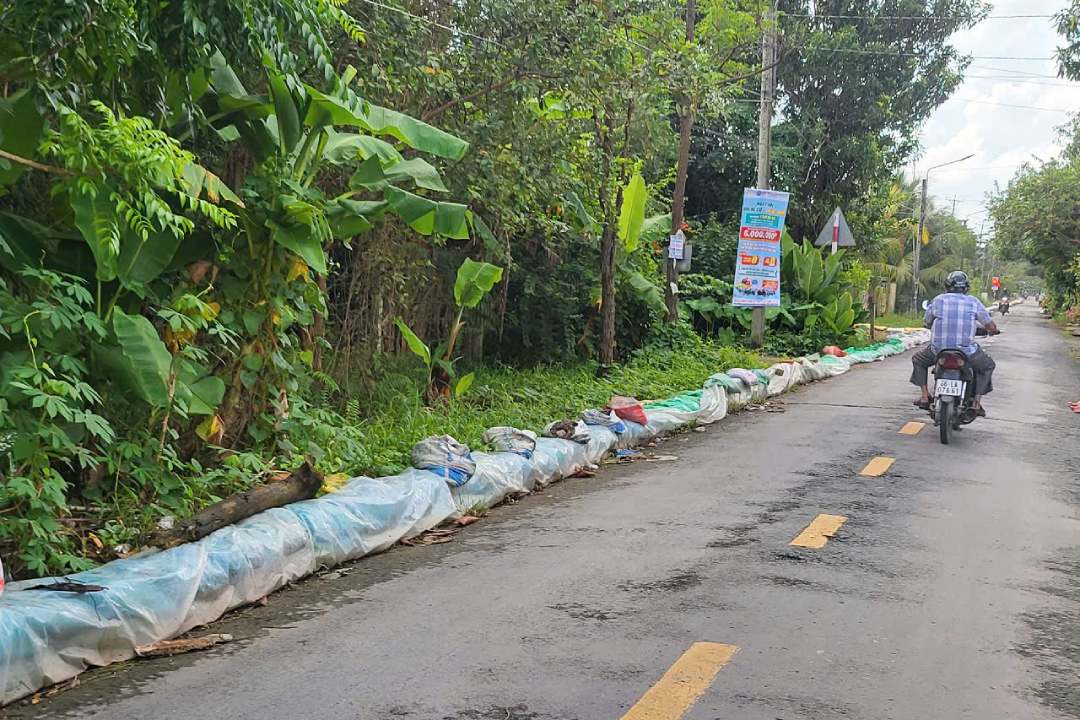 Nguoi dan bom nuoc ra khoi vuon cay. Anh: Ta Quang