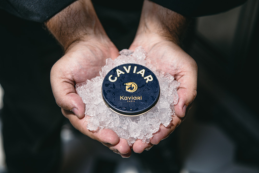 Nhung nguyen lieu thuong hang nhu Trung Ca Muoi Oscietre va Nam Truffle Den - bieu tuong cua am thuc Phap tinh hoa, gop mat trong thuc don le hoi. Anh: Ngan Luong