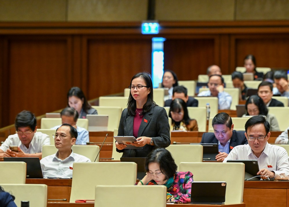 Dai bieu Quoc hoi Chu Thi Hong Thai. Anh: Pham Dong
