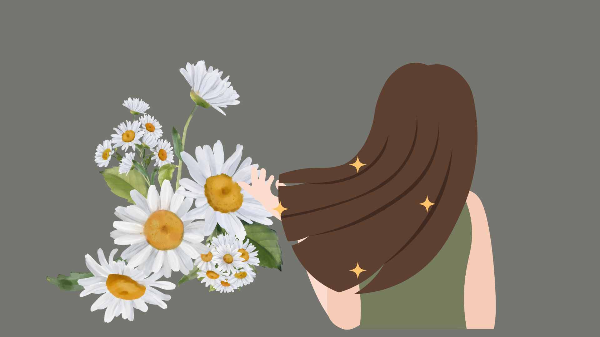 Chamomile contains active ingredients that can support hair growth naturally when used properly. Graphic photo: Hoang Loc