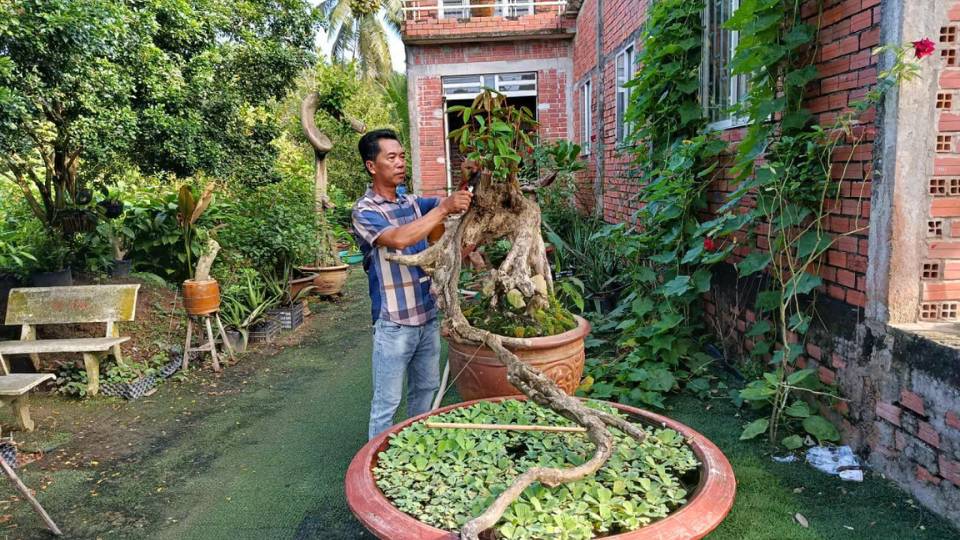 Vay von ho tro sinh ke giup ho dan vuon len thoat ngheo. Anh: Hoang Loc