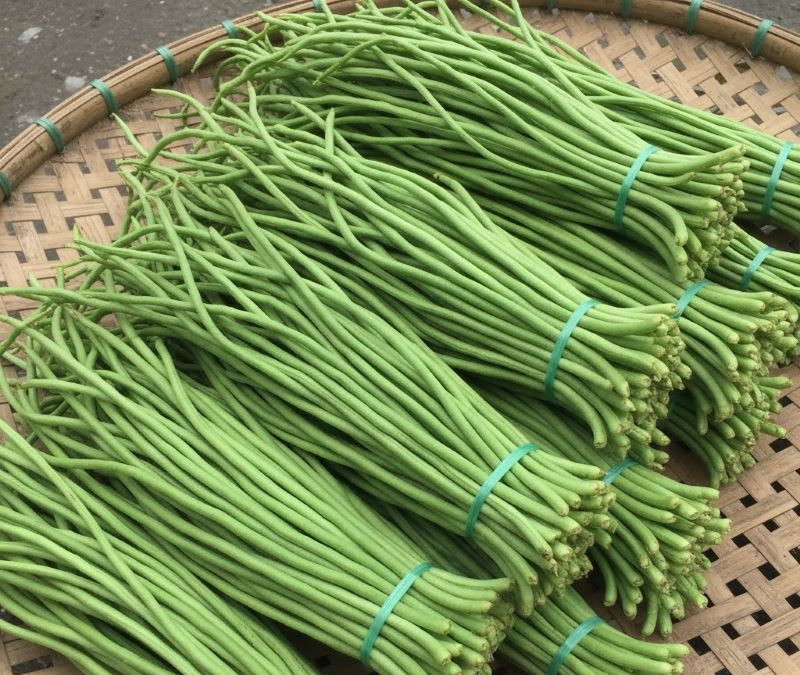 Al conservar dau dua debes dividirlo en rodajas pequeñas para facilitar la extraccion y el procesamiento. Foto: AI